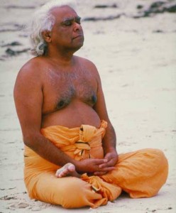 swami vishn8