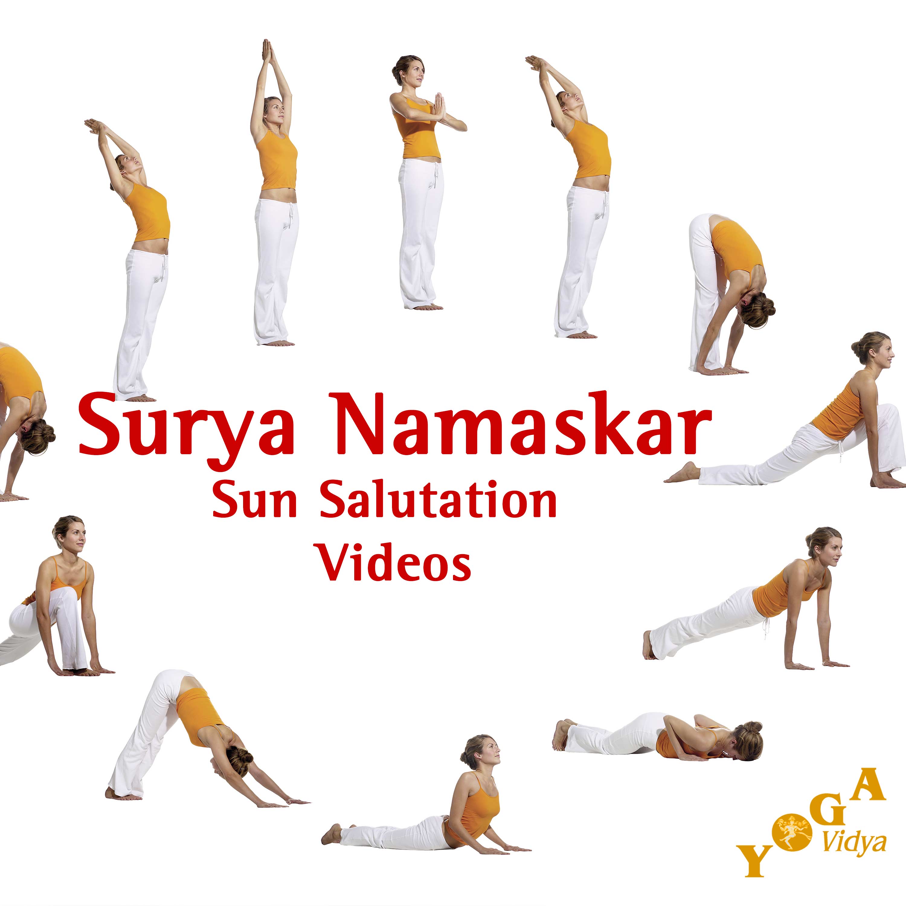 Surya Namaskar Yoga Chart Yoga Buddy